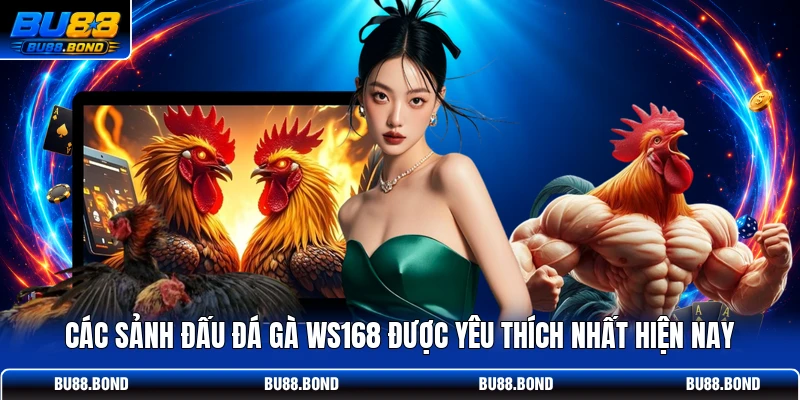 Đỉnh Cao Đá Gà WS168 Tại BU88 - Sân Chơi Của Sư Kê Top 1 Các sảnh đấu đá gà WS168 được yêu thích nhất hiện nay