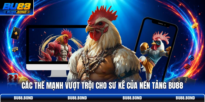 Đỉnh Cao Đá Gà WS168 Tại BU88 - Sân Chơi Của Sư Kê Top 1 Các thế mạnh vượt trội cho sư kê của nền tảng BU88